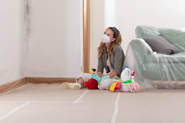 Reliable Mold Inspection And Testing contractor in Raleigh, NC by Car Mold Remediation